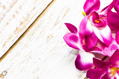 Orkide çiçekler, Bahar geçmiş kadınlar günü için ya da anneler günü için kart