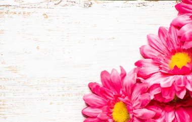 Gerbera çiçekleri, kadınlar günü için Bahar arka plan veya kart anneler günü için