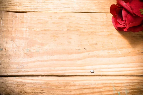 Röd ros för alla hjärtans dag eller kort för kvinnodagen, blommor bakgrund — Stockfoto