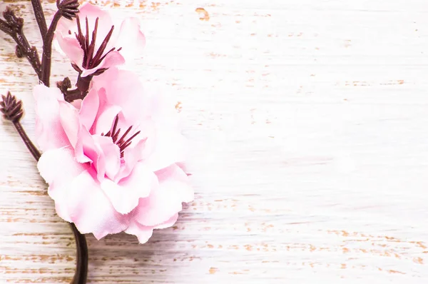 Fleur de pommier, fond printanier avec branche fleurie sur des planches en bois — Photo