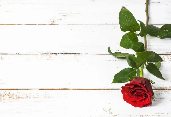 Czerwona róża na drewniane tło valentine's day i womens day z życzeniami — Zdjęcie stockowe