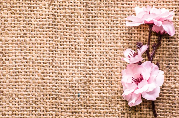 Flor de maçã, fundo de primavera com ramo florescente em tábuas de madeira — Fotografia de Stock