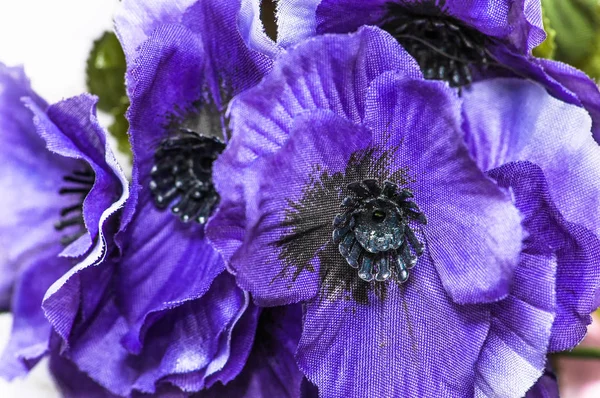 すみれ色の花の花束の母の日、背景または女性の日のためのカード — ストック写真