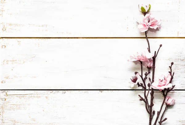 Apple blossom, voorjaar achtergrond met bloeiende tak op houten planken — Stockfoto