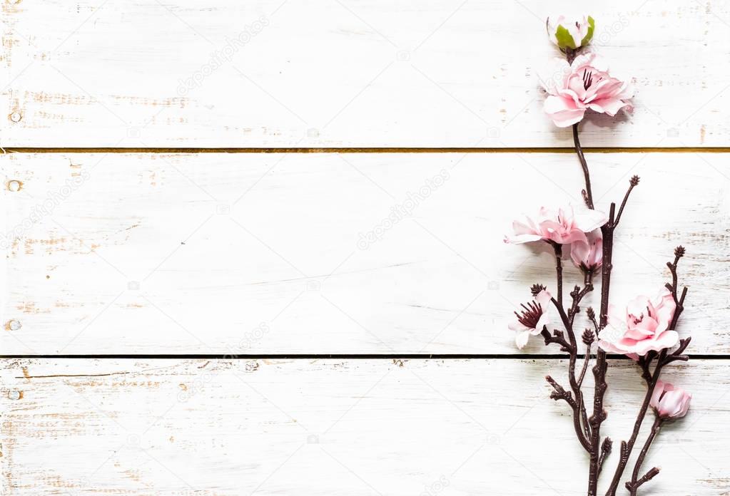 Apple blossom, spring background with blossoming branch on wooden boards