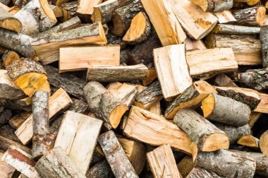 Yığında saklanan ahşap bir parça odun