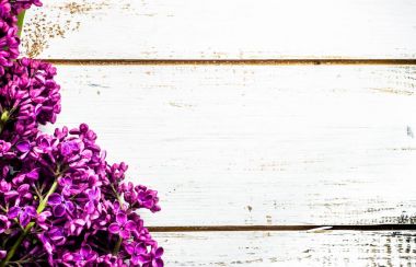 Eflatun çiçekler, Bahar geçmiş anneler günü için ya da kadınlar günü kartı için çiçekler