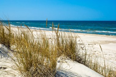 Kum tepeleri çim ve mavi gökyüzü, yaz tatili, altında ıssız kumsalı ile arka plan seyahat