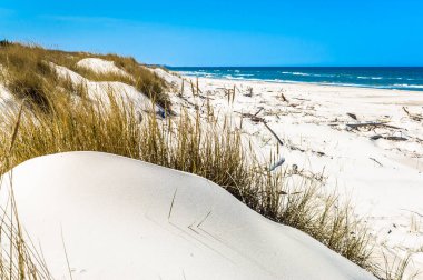 Sandy beach ve kum tepeleri ile çim mavi gökyüzü, yaz tatili, altında arka plan seyahat