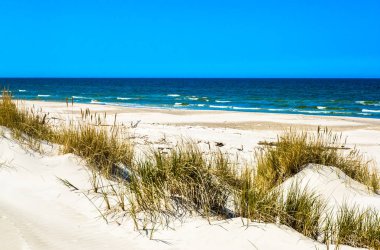 Sandy beach ve kum tepeleri ile çim mavi gökyüzü, yaz tatili, altında arka plan seyahat