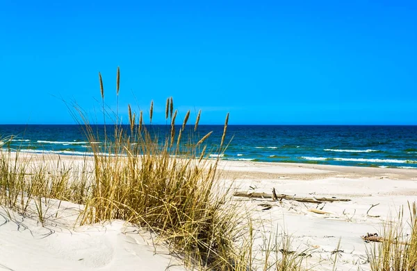 Duinen met gras en verlaten zandstrand onder de blauwe hemel, zomer-vakantie, reizen achtergrond — Stockfoto