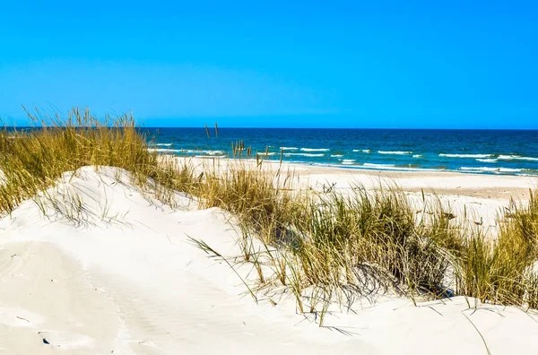 Kum tepeleri çim ve mavi gökyüzü, yaz tatili, altında ıssız kumsalı ile arka plan seyahat