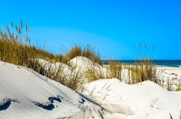 Duinen met gras en verlaten zandstrand onder de blauwe hemel, zomer-vakantie, reizen achtergrond — Stockfoto