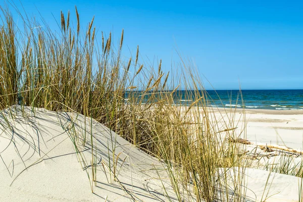 Praia de areia deserta, paisagem com dunas e grama sob o céu azul no verão — Fotografia de Stock