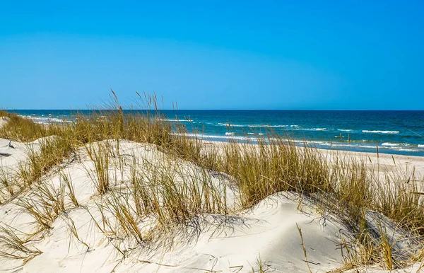 Sandklitter med græs og øde sandstrand under blå himmel, sommerferie, rejsebaggrund - Stock-foto