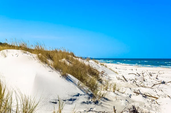 Dunas de areia com grama e praia de areia deserta sob o céu azul, férias de verão, fundo de viagem — Fotografia de Stock