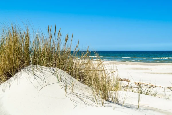 Praia de areia deserta, paisagem com dunas e grama sob o céu azul no verão — Fotografia de Stock