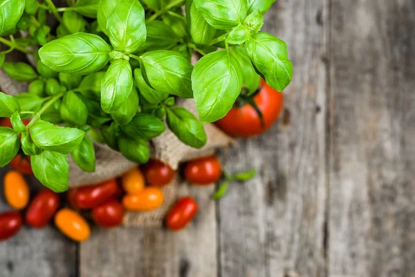 Foglie di basilico fresche, erbe verdi della cucina italiana, spezie aromatiche per condire — Foto Stock