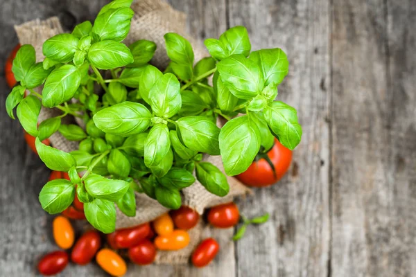 Foglie di basilico fresche, erbe della cucina italiana, spezie aromatiche, concetto di alimentazione sana — Foto Stock