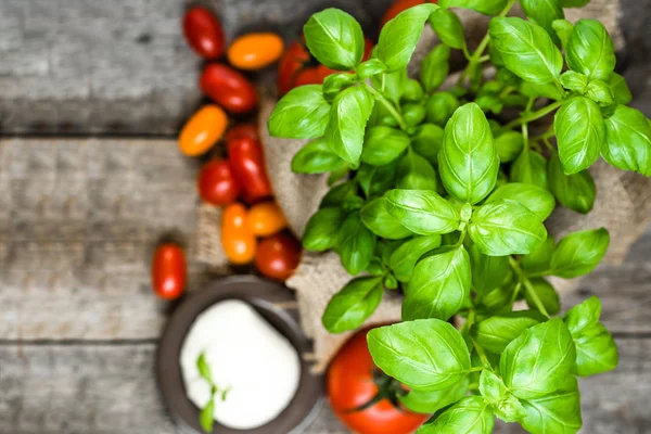 Ingredienti alimentari italiani per un'alimentazione sana. Foglie di basilico fresche, mozzarella e pomodorini, sopraelevate — Foto Stock