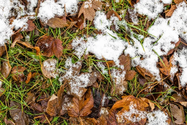 Derretimiento de nieve sobre hojas muertas, principios de invierno o deshielo en primavera — Foto de Stock