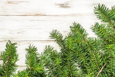 ahşap zemin üzerine yeşil Noel ağacı dalı