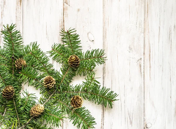 Πράσινο χριστουγεννιάτικο δέντρο υποκατάστημα και πεύκο κώνους σε φόντο ξύλινη — Φωτογραφία Αρχείου