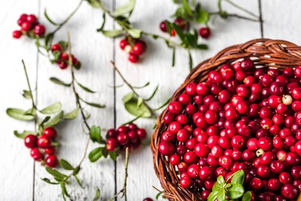 Taze kızılcık hasat, ahşap masa üzerinde kırmızı çilek sepeti