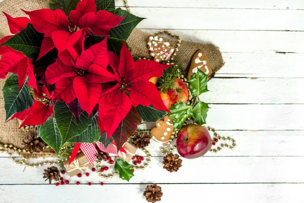 Vánoční dekorace na stůl s vánoční květina, červená Poinsettie, pohled shora — Stock fotografie
