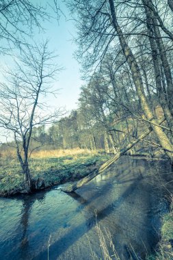 Nehir manzara, erken kış veya geç sonbaharda, vahşi alanı doğal devlet, Polonya ile başlayan Bahar, doğanın içinde