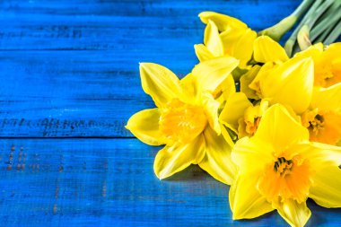 Ahşap masa üzerinde nergis kokulu bahar easter arka plan