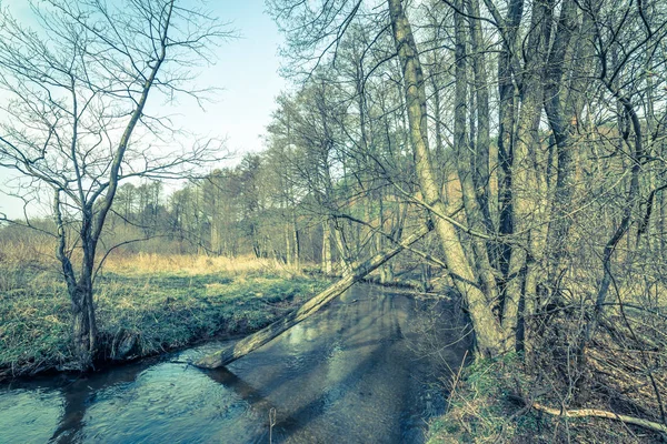Krajina z řeky v lese na jaře, krajinu — Stock fotografie