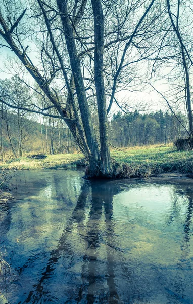 Paisaje de río en el bosque en primavera, paisaje rural —  Fotos de Stock