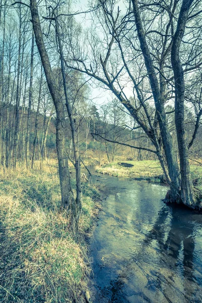 Río en el paisaje de la naturaleza a principios de primavera, principios de invierno o finales de otoño, área silvestre en estado natural, Polonia —  Fotos de Stock