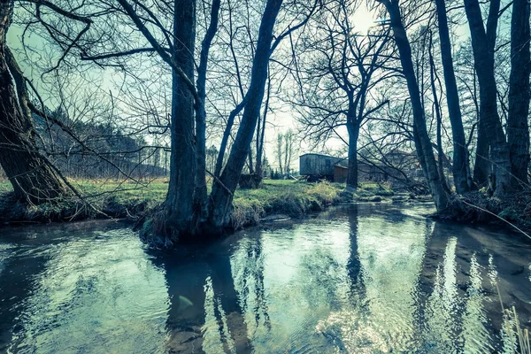 Rio na paisagem da natureza no início da primavera, início do inverno ou final do outono, área selvagem no estado natural, Polônia — Fotografia de Stock