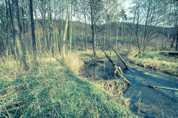 Paisaje de río en el bosque en primavera, paisaje rural — Foto de Stock