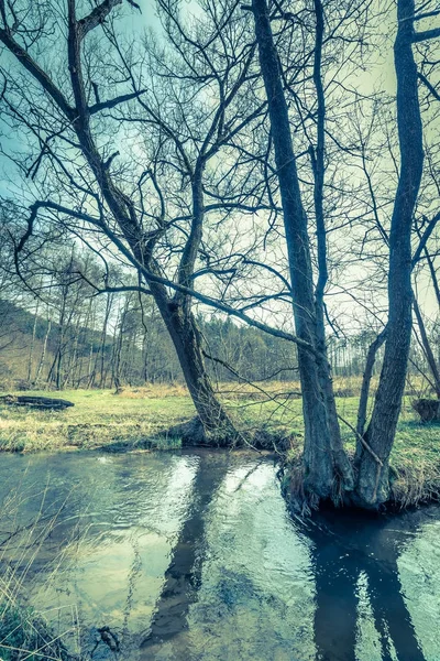 Elv i naturlandskap om våren, tidlig vinter eller senhøst, villmarksområde i naturlig tilstand, Polen – stockfoto