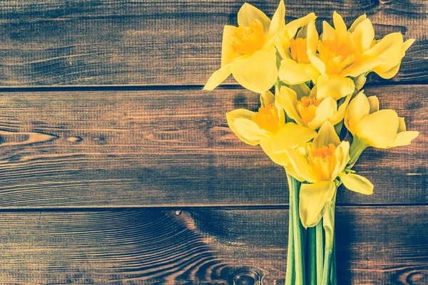Λουλούδια κίτρινα daffodils επιλεγμένο εκλεκτής ποιότητας φόντο — Φωτογραφία Αρχείου