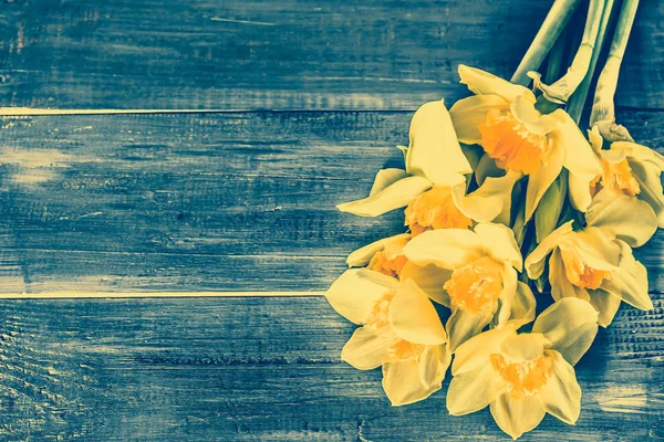 Giallo narcisi fiori selezionati su sfondo vintage — Foto Stock