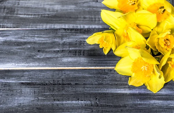 Angolo floreale con narcisi pasquali fiori selezionati su sfondo di legno — Foto Stock