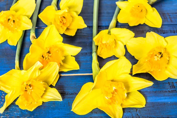 Flores de narcisos amarillos macro en mesa de madera — Foto de Stock