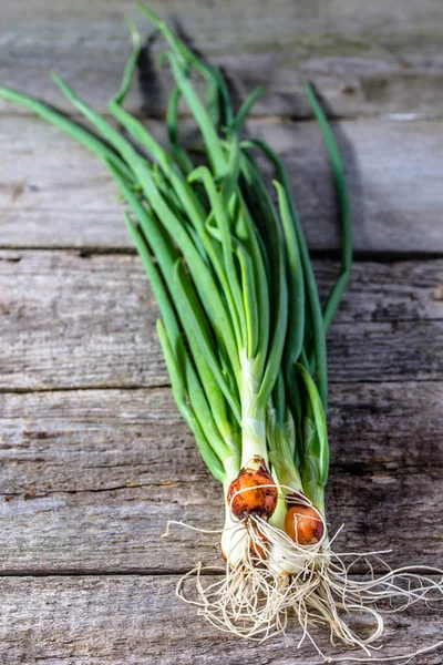 Куча зеленого лука на деревянном столе, органические овощи с местного рынка — стоковое фото