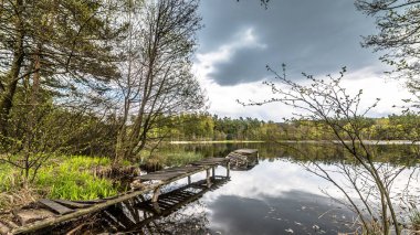 Vahşi doğa, peyzaj bulutlu gökyüzü, doğal ortamının huzurlu sahne ormanla göl üzerinde