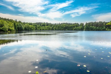 Vahşi doğa, manzara mavi gökyüzü güneşli gün, yaz sahne doğal ortamda ormanla göl üzerinde