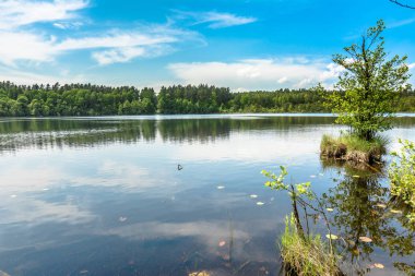 Vahşi doğa, manzara mavi gökyüzü güneşli gün, yaz sahne doğal ortamda ormanla göl üzerinde