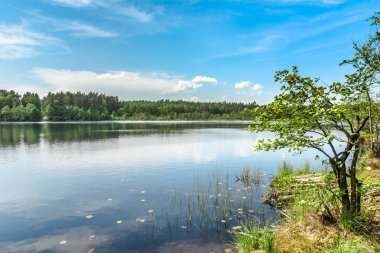 Vahşi doğa, manzara mavi gökyüzü güneşli gün, yaz sahne doğal ortamda ormanla göl üzerinde