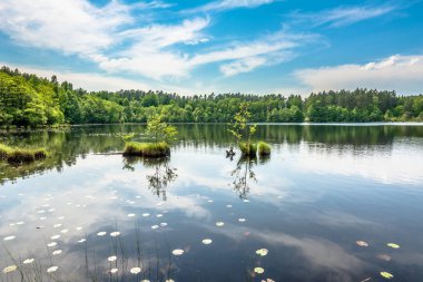 Vahşi doğa, manzara mavi gökyüzü güneşli gün, yaz sahne doğal ortamda ormanla göl üzerinde