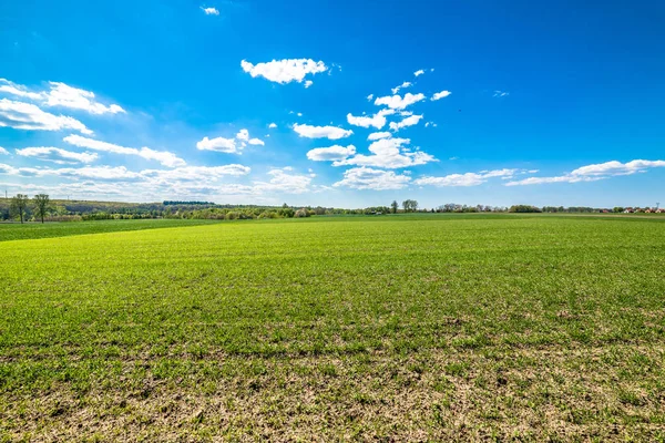 Campo Verde Paisaje Cielo Azul Horizonte — Foto de Stock