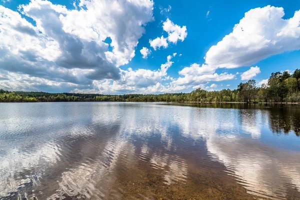Paesaggio naturale selvaggio sul lago con cielo blu nella giornata di sole, scenario di inizio primavera con piante in crescita — Foto Stock