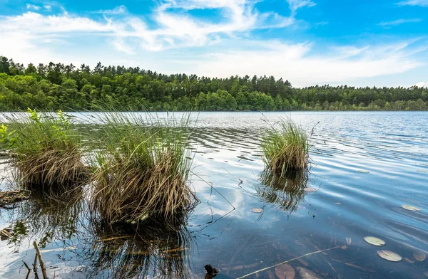 Divoká Příroda Krajina Nad Jezerem Lese Modrou Oblohou Slunečný Den — Stock fotografie